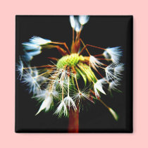 "Dandy" Fridge Magnet