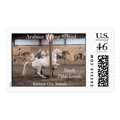 Dandy, Levade Postage stamp by ArabianRidingSchool