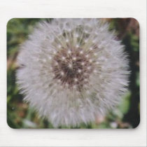 DANDY   LION mousepads
