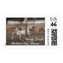 Dandy, pillar levade. postage by alholloway Dandy, pillar levade. postage