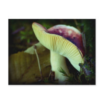 Danger in darkness postcards by Rainmountain Danger in darkness postcards