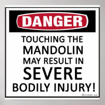 Danger Mandolin Poster