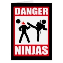 Danger Ninjas Greeting Cards