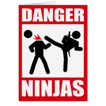 Danger Ninjas Greeting Card