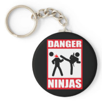 Danger Ninjas Key Chains