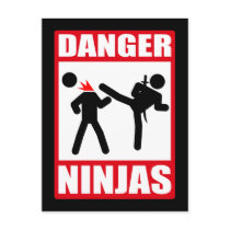 Danger Ninjas Post Cards