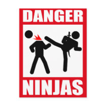 Danger Ninjas Postcard