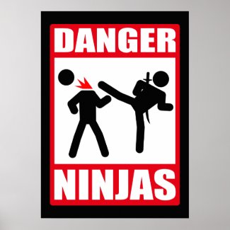 Danger Ninjas Print