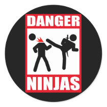 Danger Ninjas Sticker