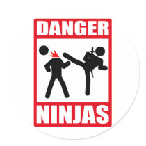 Danger Ninjas Stickers