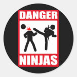 Danger Ninjas Sticker
