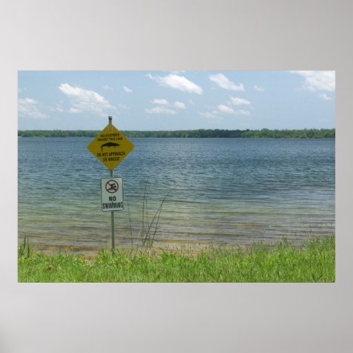 Danger Poster