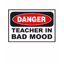 Danger Teacher- Bad Mood t-shirts