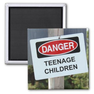 Danger Teenage Children magnet