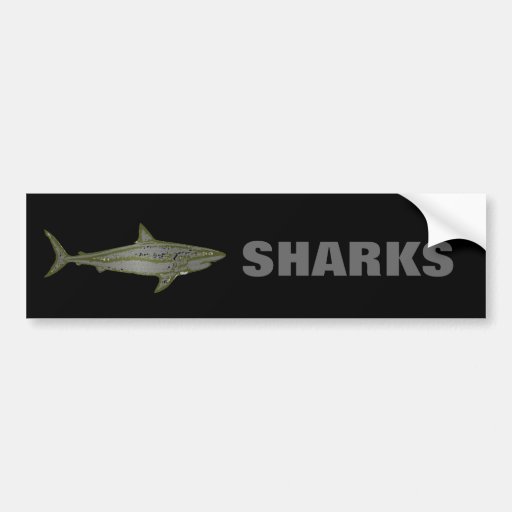 Danger - Wild Sharks Bumper Sticker