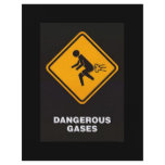 Dangerous Gases flyers