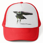 Dangerous Photography ! hats