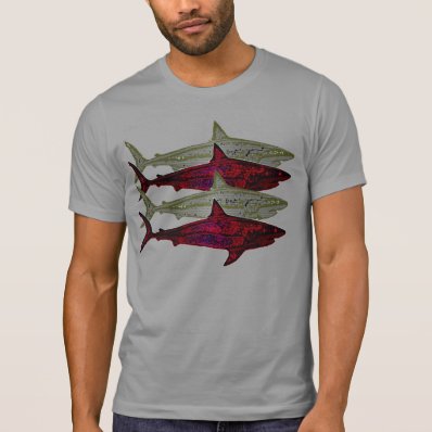 dangerous sharks, watch out tees