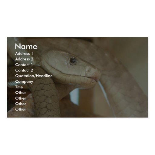 Dangerous Snake On The Tree Business Card Templates