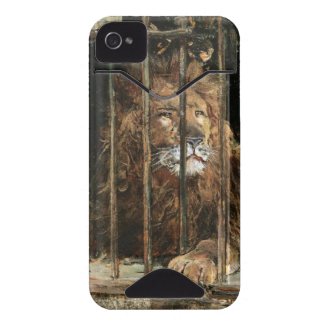 Daniel Hern�ndez Morillo: At the Lion Cage