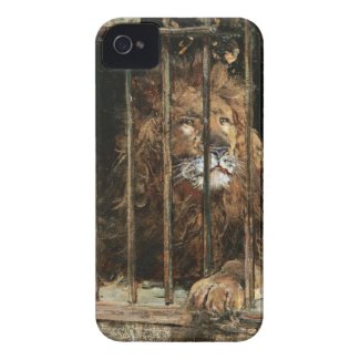 Daniel Hern�ndez Morillo: At the Lion Cage