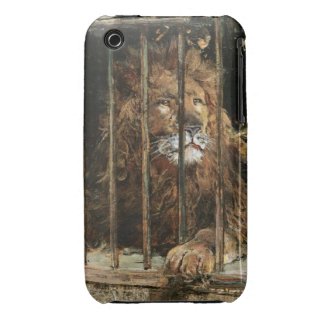 Daniel Hern�ndez Morillo: At the Lion Cage
