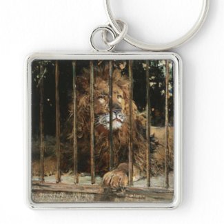 Daniel Hern�ndez Morillo: At the Lion Cage