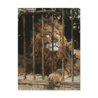 Daniel Hern�ndez Morillo: At the Lion Cage