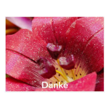 Danke Postcard