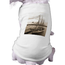 Danmark Pet Tee