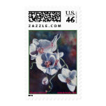 DANNI'S ORCHIDS, ROBINR... - Customized postage