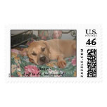 Danny:Left to die, but rescued!  postage