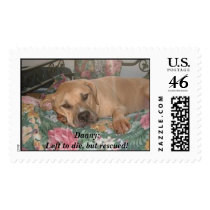 Danny:Left to die, but rescued! postage by a713asw Danny:Left to die, but rescued! postage
