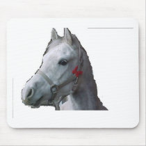 Danny Paint Mouse Pads
