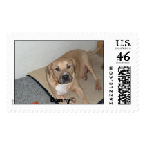 Danny Postage