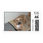 Danny postage