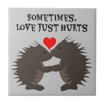 Daños del amor del puerco espín tejas