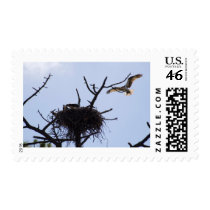 Dan's Secret Place Postage Stamp
