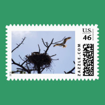 Dan's Secret Place stamps