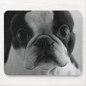 Danson Boston Terriers mousepads by dansonbostons Danson Boston Terriers mousepads