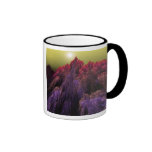 Dansur Coffee Mug