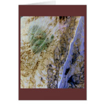Daphnaie Emerging - notecard
