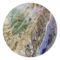 Daphnaie Emerging Sticker