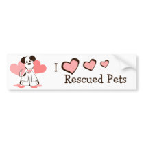 Daphne the Adopted Dog Bumper Stickers