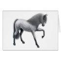 Dapple Gray Andalusian Horse cards