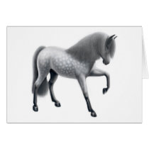 Dapple Gray Andalusian Horse cards by twopurringcats Dapple Gray Andalusian Horse cards