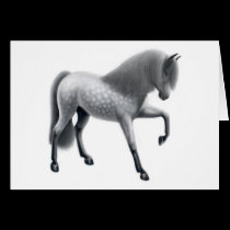 Dapple Gray Andalusian Horse cards
