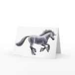 Dapple Grey Draft Horse Greeting Card
