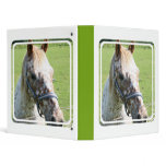 Dappled Appaloosa Horse  Binder
