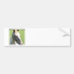 Dappled Appaloosa Horse Bumper Stickers